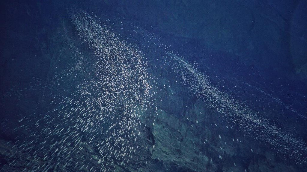 [-]Hang[-]Sơn[-]Đo&ograve;ng[-]qua[-]lăng[-]k&iacute;nh[-]đạo[-]diễn[-]Jordan[-]Vogt-Roberts[-]